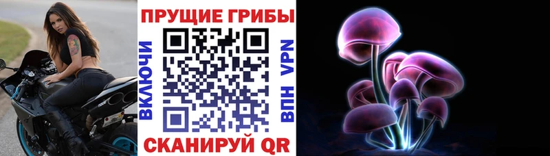 Купить где  Старый Крым  Галлюциногенные грибы Magic Shrooms 