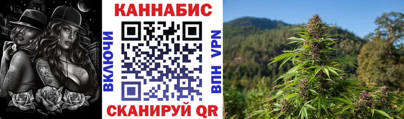 Бошки Шишки план  Купить где  Старый Крым 